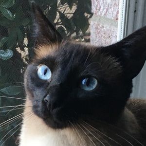 Meet your Posher, Brenden